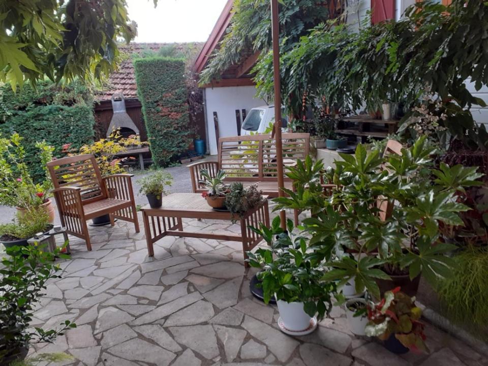 Salies-de-Béarn Au Bosquet, Chambre Et Salle De Bains Avec Petit Dejeuner A 600 M Du Centre Dans Un Cadre Calme Et Verdoyant מראה חיצוני תמונה