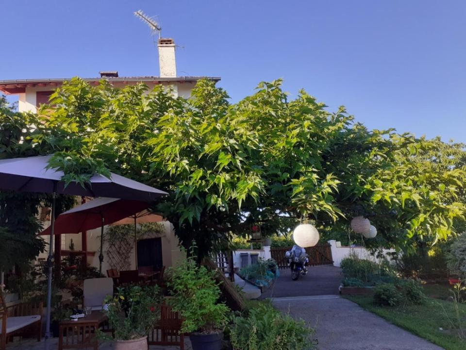 Salies-de-Béarn Au Bosquet, Chambre Et Salle De Bains Avec Petit Dejeuner A 600 M Du Centre Dans Un Cadre Calme Et Verdoyant מראה חיצוני תמונה