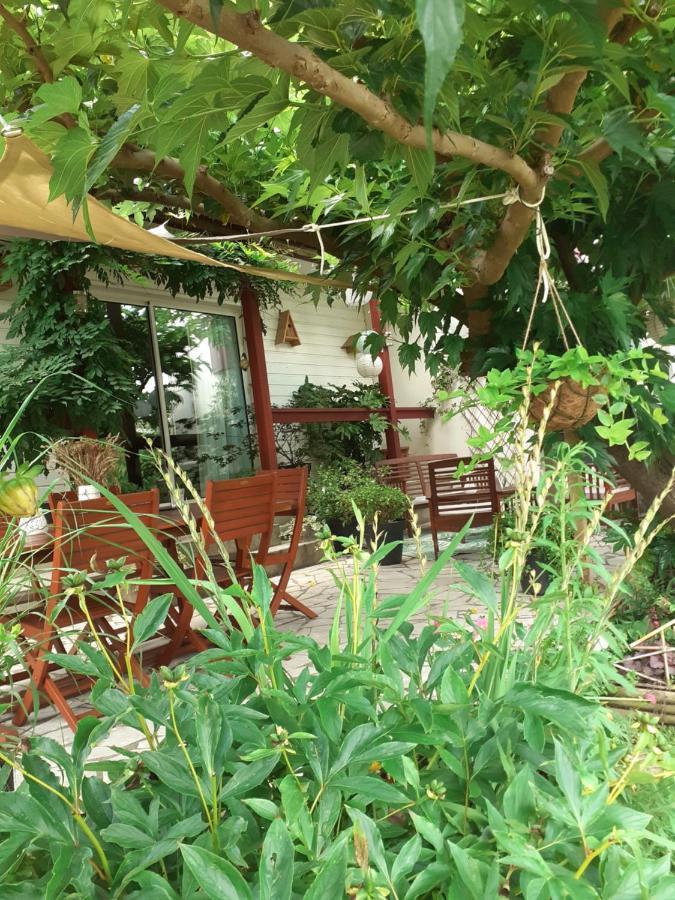 Salies-de-Béarn Au Bosquet, Chambre Et Salle De Bains Avec Petit Dejeuner A 600 M Du Centre Dans Un Cadre Calme Et Verdoyant מראה חיצוני תמונה